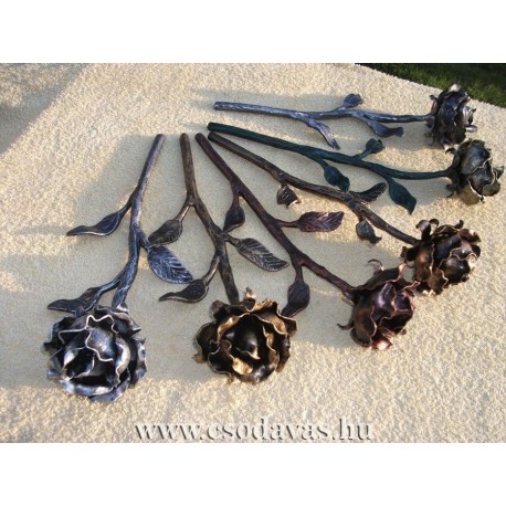 Rózsaszálak 28 cm .